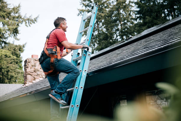 Best Solar Panel Roofing Installation  in Mehlville, MO